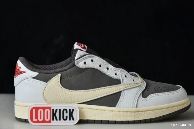 1 Air x Mocha Travis Reverse Scott Jordan DM7866-162 0811